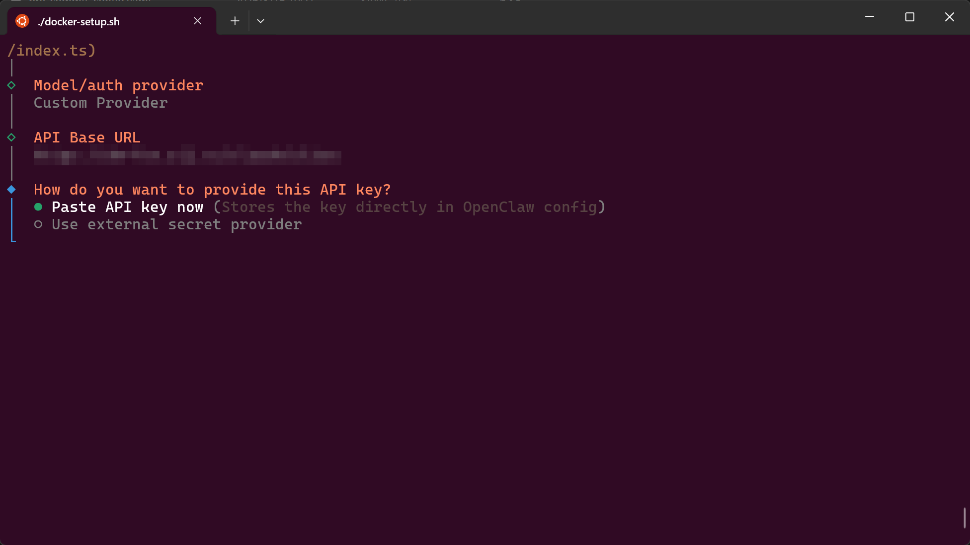 输入 API Key
