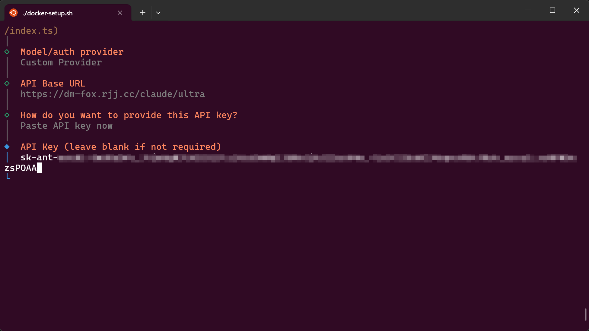 输入 API Key